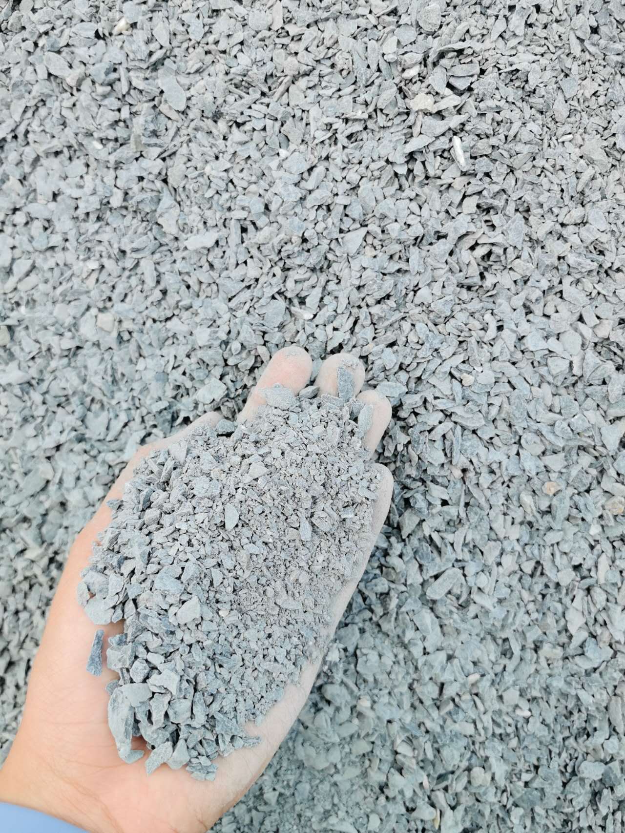 Image_20260205134759_532_19