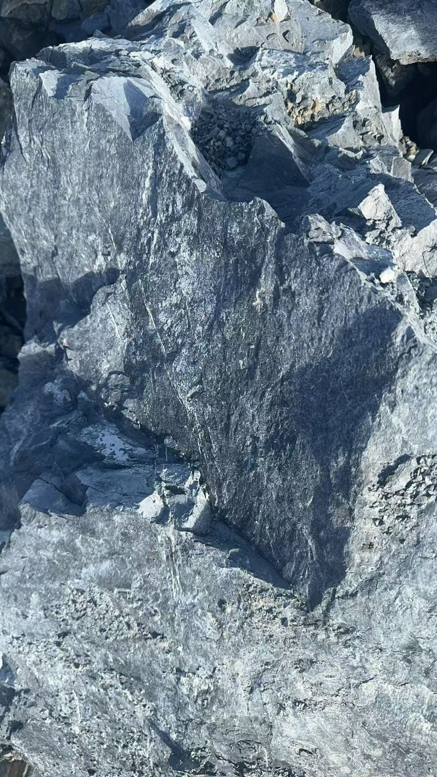 WhatsApp Image 2025-10-27 at 08.38.34